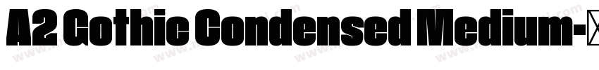 A2 Gothic Condensed Medium字体转换